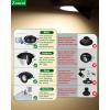 imagezouzai 1 Pack 4 inch 5CCT LED Gimbal Led Recessed Light with Junction Box 36090 Adjustable Directional Eyeball Lighting Dimmable 2700K3000K3500K4000K5000K 900LM 10W85WETLampampEnergy StarBlack 12 Pack