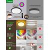 imagezouzai 12Inch LED Ceiling Light Flush Mount 5CCT 2700K6000K Colorful Night Light AmberPinkIce Blue 22W8W Dimmable Fixture for Bedroom Living Room White DIP Switch 1 PackBlack
