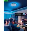 imagezouzai 12Inch LED Ceiling Light Flush Mount 5CCT 2700K6000K Colorful Night Light AmberPinkIce Blue 22W8W Dimmable Fixture for Bedroom Living Room White DIP Switch 1 PackBlack