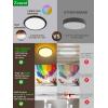 imagezouzai 12Inch LED Ceiling Light Flush Mount 5CCT 2700K6000K Colorful Night Light AmberPinkIce Blue 22W8W Dimmable Fixture for Bedroom Living Room White DIP Switch 1 PackBlack