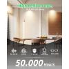 imagezouzai 12 Pack 3 Inch 5CCT LED anit Glare Down Light with Junction Box 2700K3000K3500K4000K5000K Selectable LED spot Dimmable  ETL and Energy Star Certified Black 3 inch 12 PackBronze